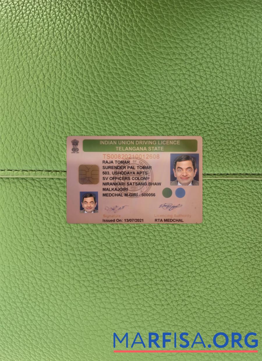 Printable India Telangana state driving license photolook example